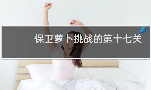 保卫萝卜挑战的第十七关