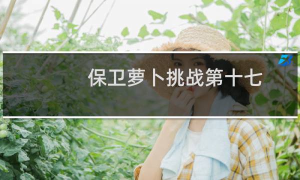 保卫萝卜挑战第十七