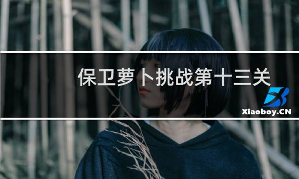 保卫萝卜挑战第十三关