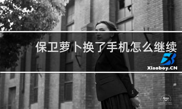 保卫萝卜换了手机怎么继续