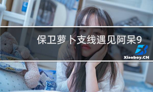 保卫萝卜支线遇见阿呆9