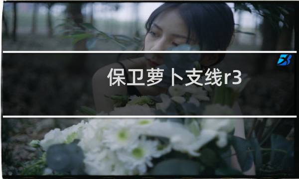 保卫萝卜支线r3