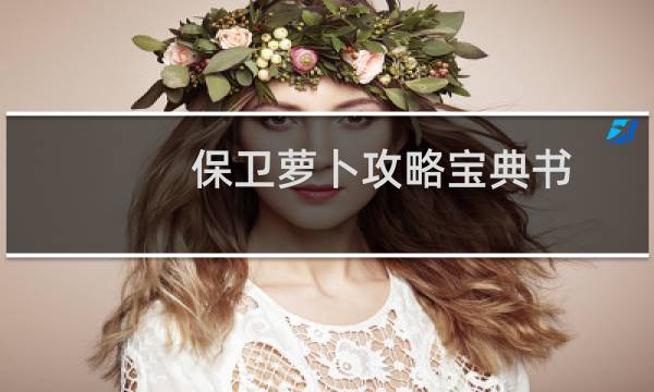 保卫萝卜攻略宝典书