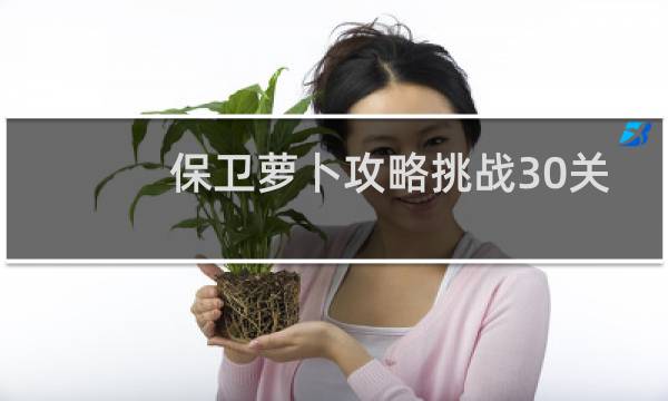 保卫萝卜攻略挑战30关