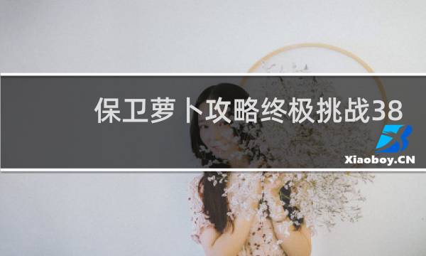 保卫萝卜攻略终极挑战38