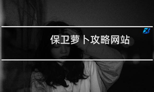 保卫萝卜攻略网站