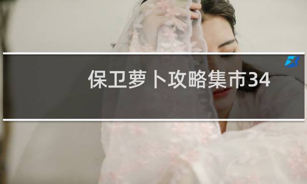 保卫萝卜攻略集市34