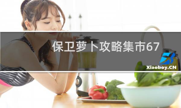 保卫萝卜攻略集市67