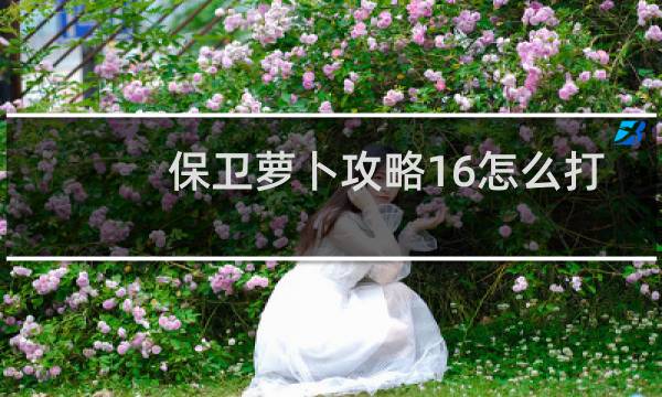 保卫萝卜攻略16怎么打
