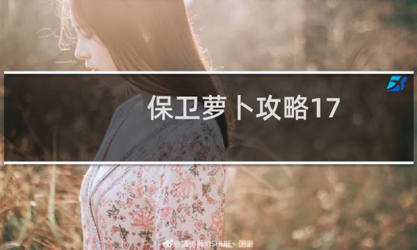 保卫萝卜攻略17