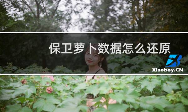 保卫萝卜数据怎么还原
