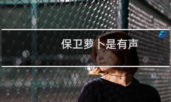 保卫萝卜是有声