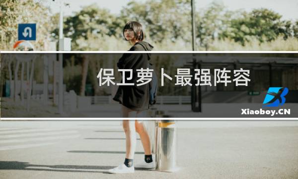 保卫萝卜最强阵容