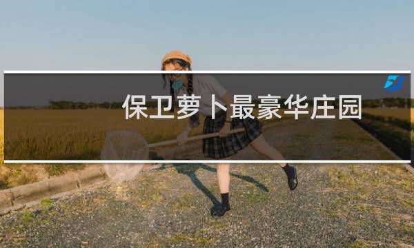 保卫萝卜最豪华庄园