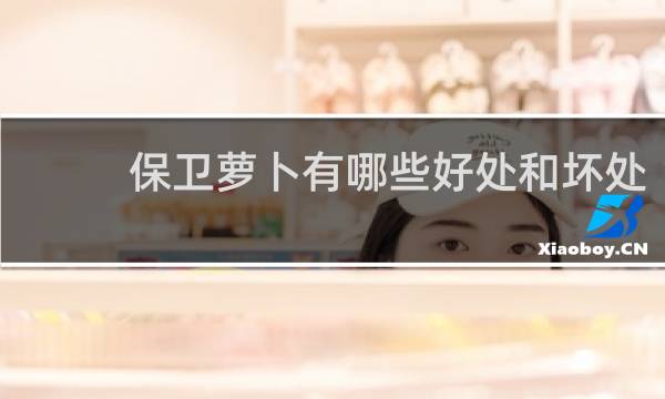 保卫萝卜有哪些好处和坏处