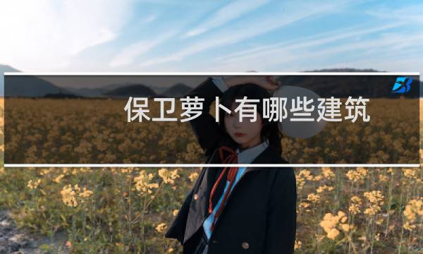 保卫萝卜有哪些建筑