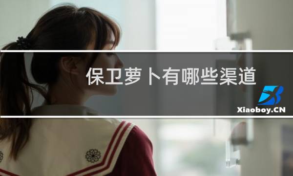 保卫萝卜有哪些渠道