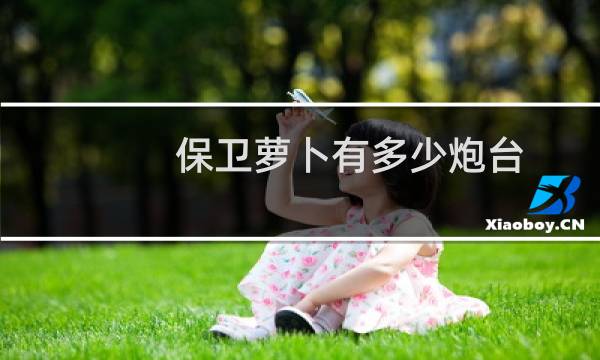 保卫萝卜有多少炮台