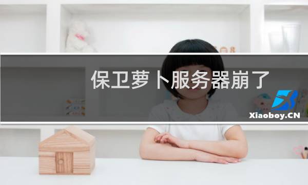 保卫萝卜服务器崩了