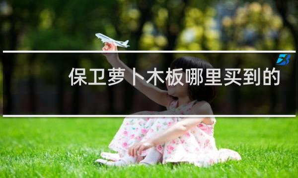 保卫萝卜木板哪里买到的