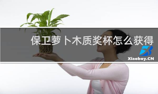 保卫萝卜木质奖杯怎么获得