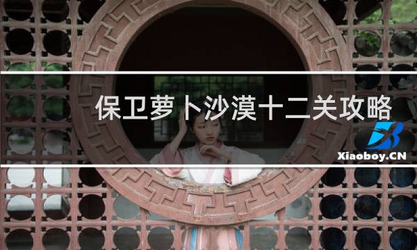 保卫萝卜沙漠十二关攻略