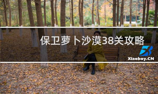 保卫萝卜沙漠38关攻略
