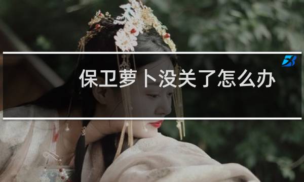保卫萝卜没关了怎么办