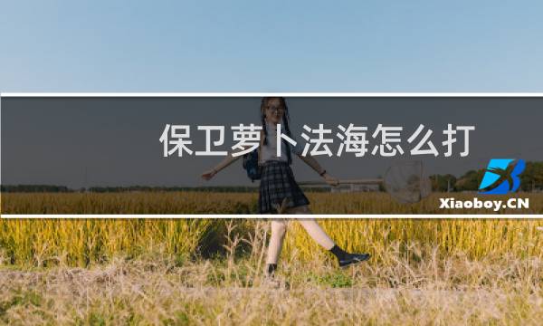 保卫萝卜法海怎么打