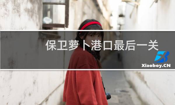 保卫萝卜港口最后一关