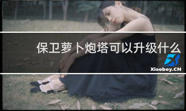 保卫萝卜炮塔可以升级什么