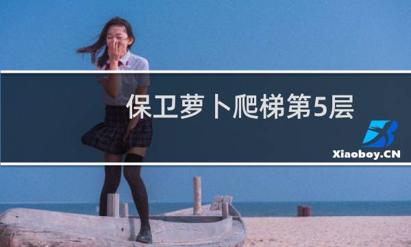 保卫萝卜爬梯第5层