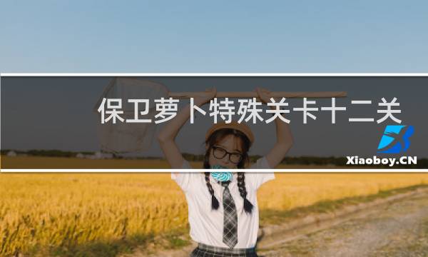 保卫萝卜特殊关卡十二关