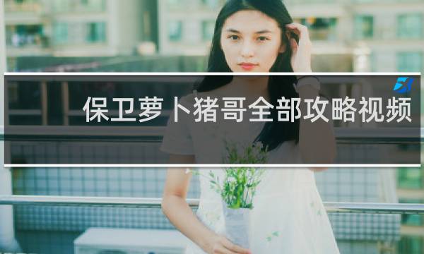 保卫萝卜猪哥全部攻略视频