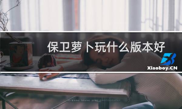 保卫萝卜玩什么版本好