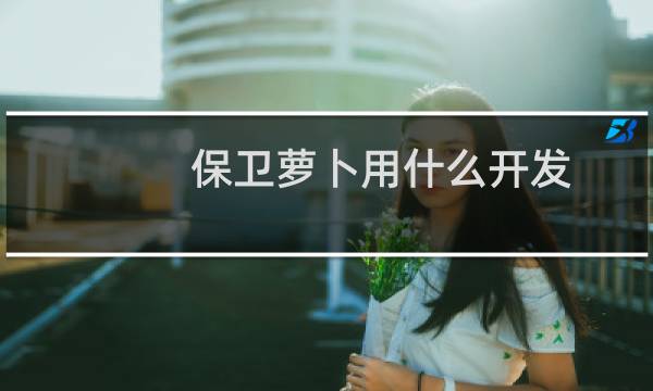 保卫萝卜用什么开发
