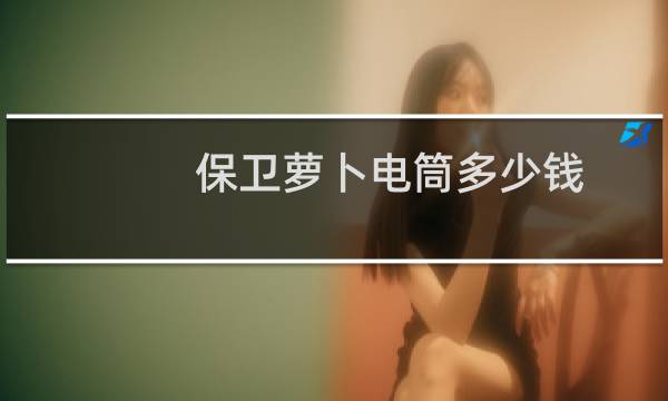 保卫萝卜电筒多少钱