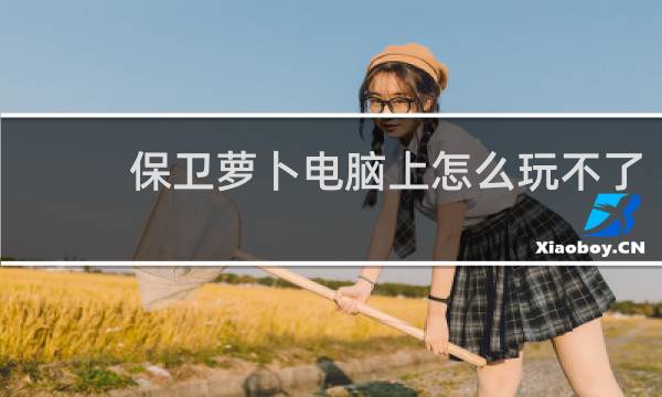 保卫萝卜电脑上怎么玩不了