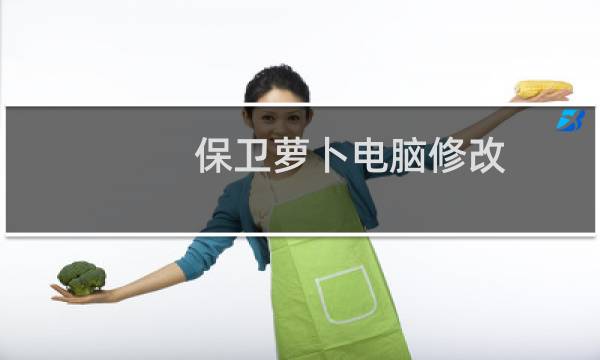 保卫萝卜电脑修改