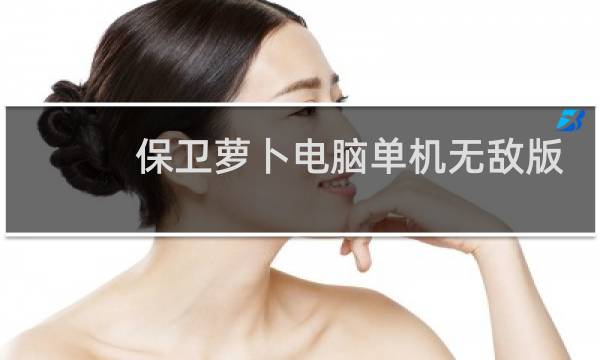 保卫萝卜电脑单机无敌版