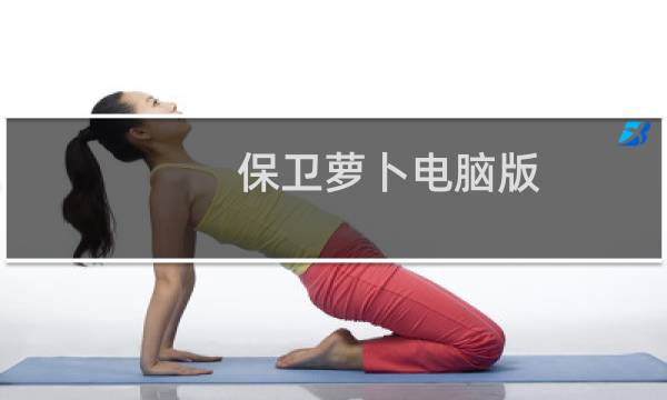 保卫萝卜电脑版 修改