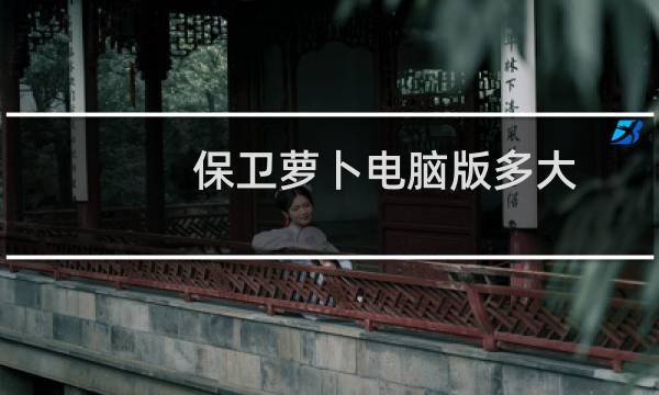 保卫萝卜电脑版多大