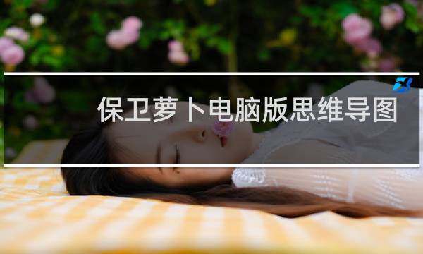 保卫萝卜电脑版思维导图