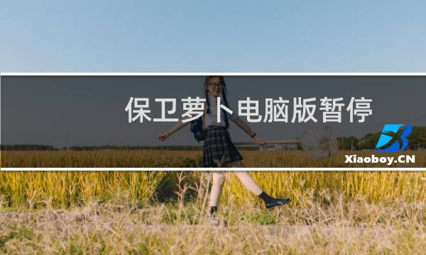 保卫萝卜电脑版暂停
