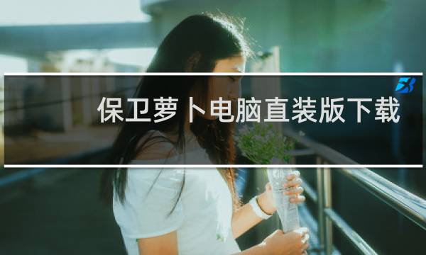 保卫萝卜电脑直装版下载