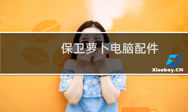 保卫萝卜电脑配件