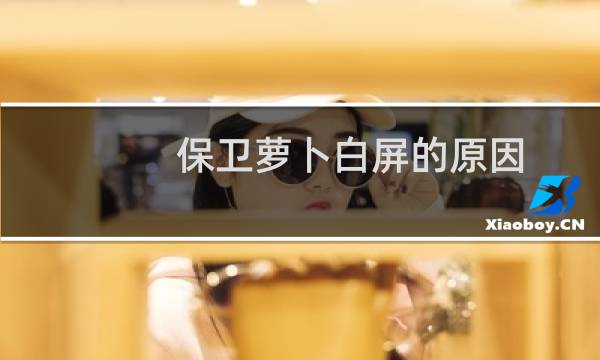 保卫萝卜白屏的原因