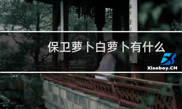 保卫萝卜白萝卜有什么