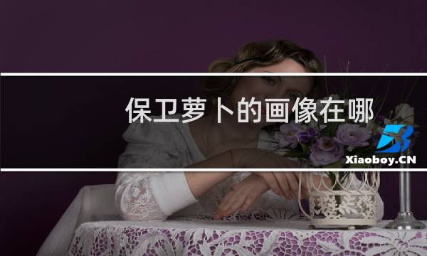 保卫萝卜的画像在哪