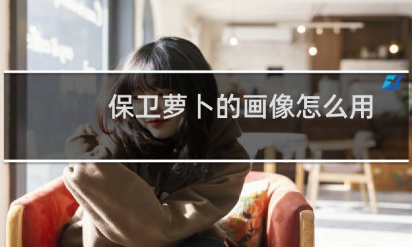保卫萝卜的画像怎么用